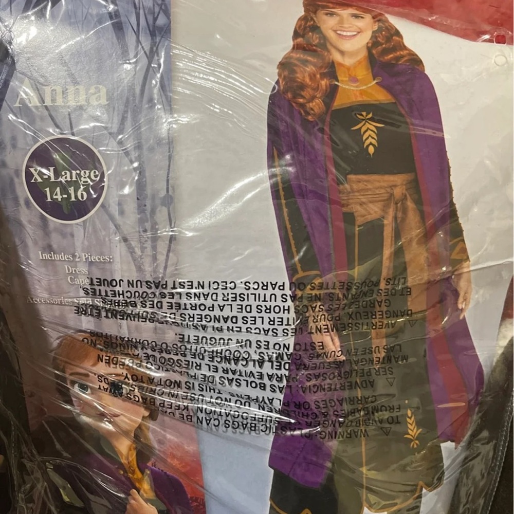 Anna costume from frozen
